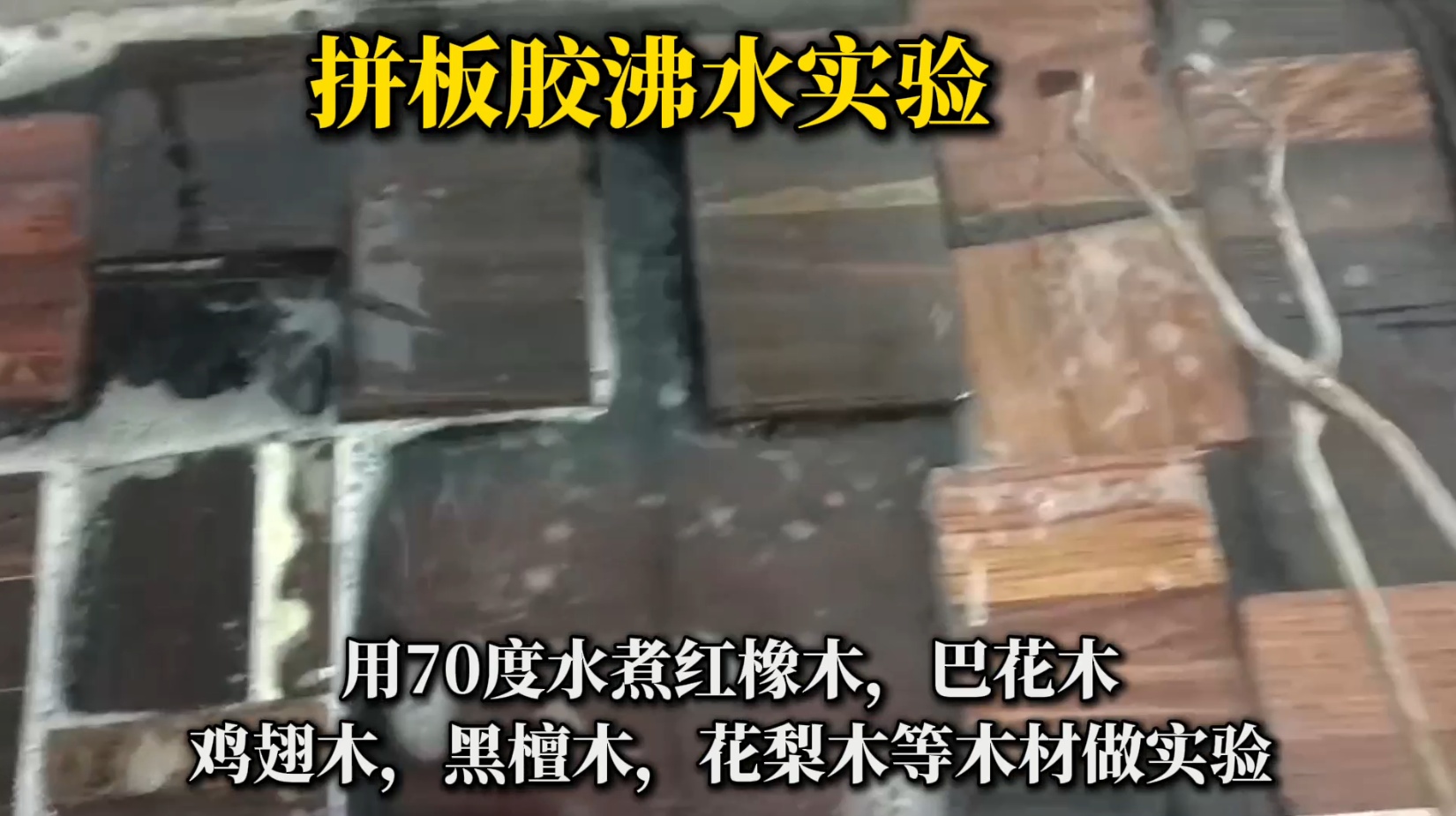 欣凱利拼板膠怎么樣？適合用在什么木材上