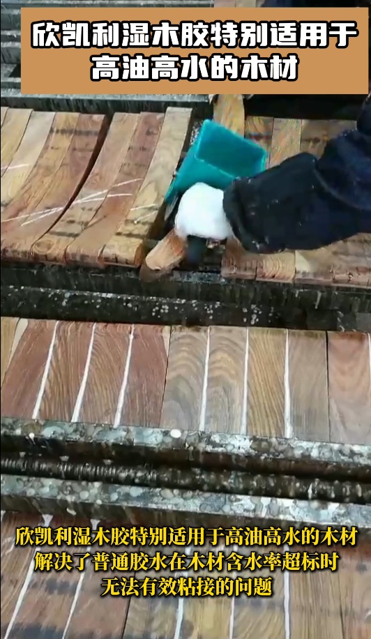 欣凱利濕木膠是一種高性能、高適應(yīng)性的膠粘劑