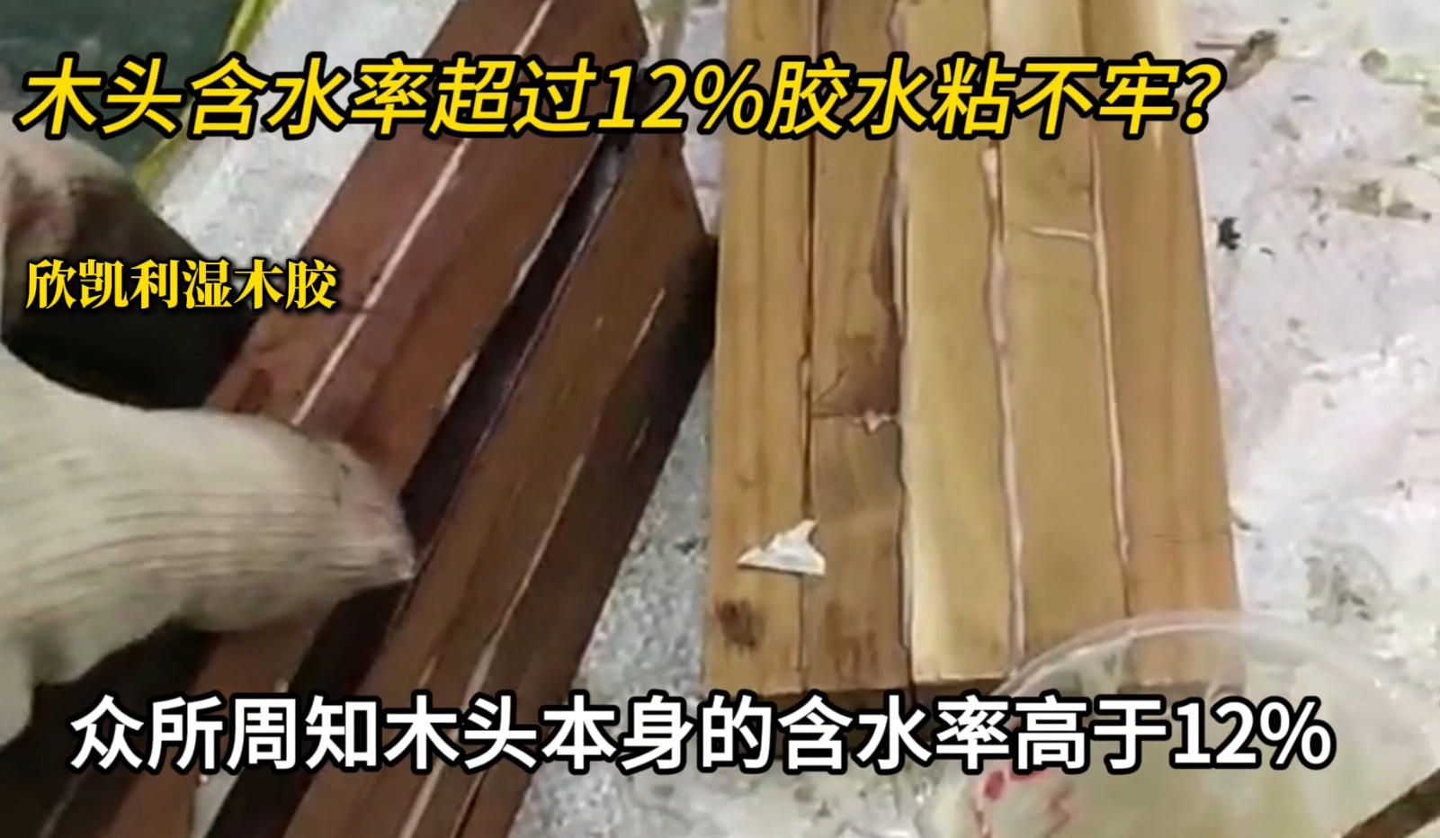 欣凱利濕木膠可用于：橡木、胡桃木、楓木、櫻桃木松木、杉木等木種