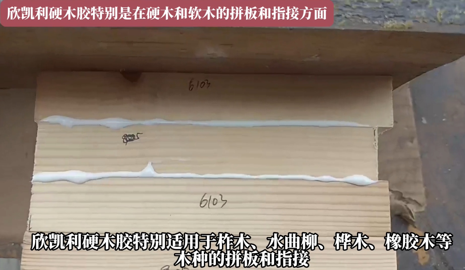 欣凱利硬木膠特別是在硬木和軟木的拼板和指接方面