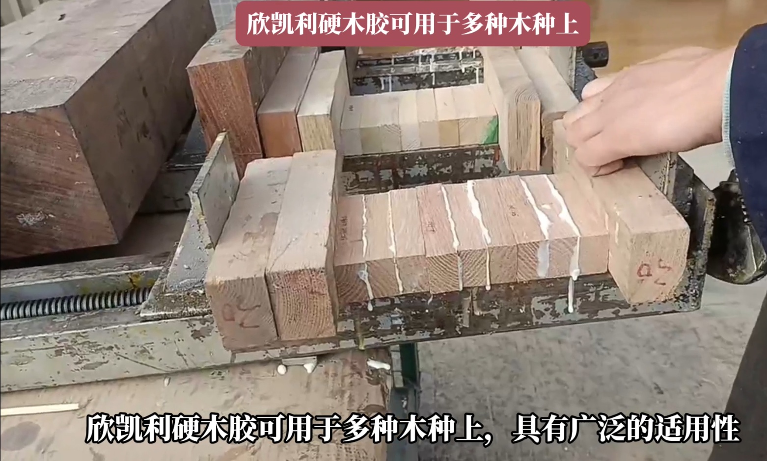 欣凱利硬木膠能夠深入木材裂縫和孔洞，形成牢固的粘接層